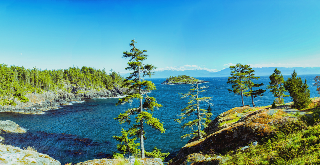 Best Downsizing Communities for Mature Owners on S. Vancouver Island